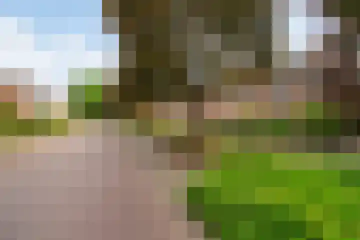 Veldwijkerweg 14 Ermelo thumbnail 6