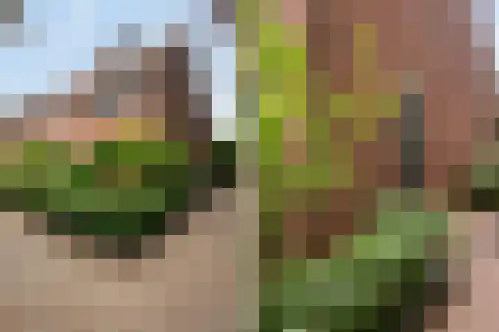 Veldwijkerweg 14 Ermelo thumbnail 7