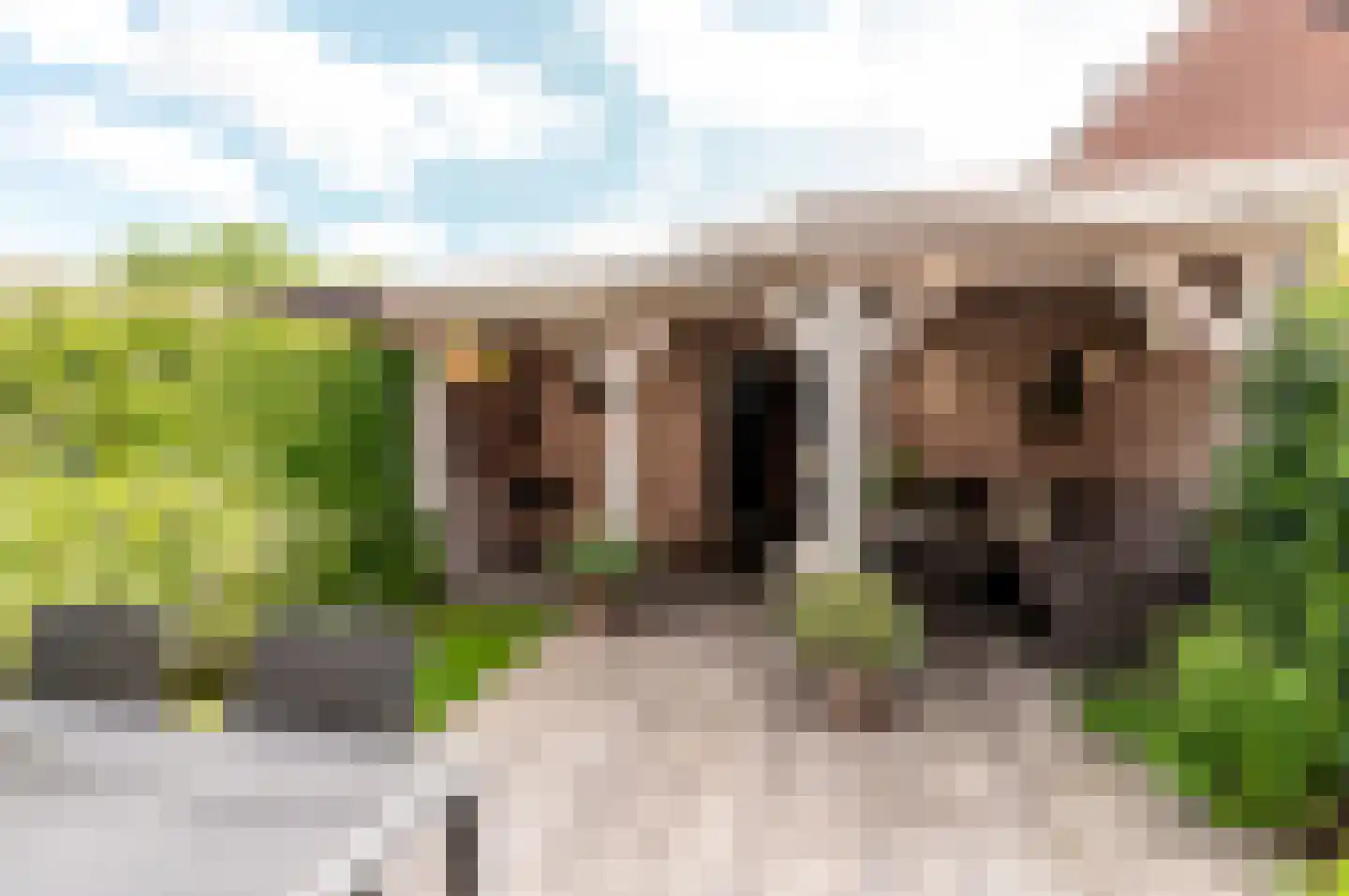 Veldwijkerweg 6 Ermelo thumbnail 36