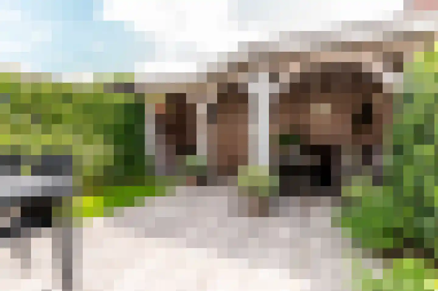 Veldwijkerweg 6 Ermelo thumbnail 37
