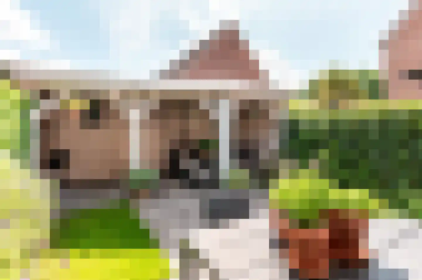 Veldwijkerweg 6 Ermelo thumbnail 38