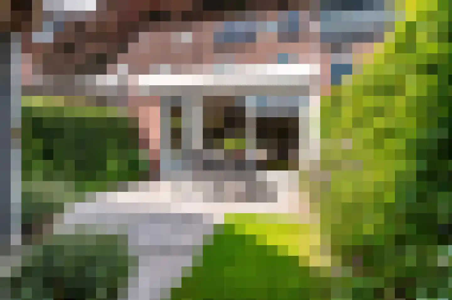 Veldwijkerweg 6 Ermelo thumbnail 40