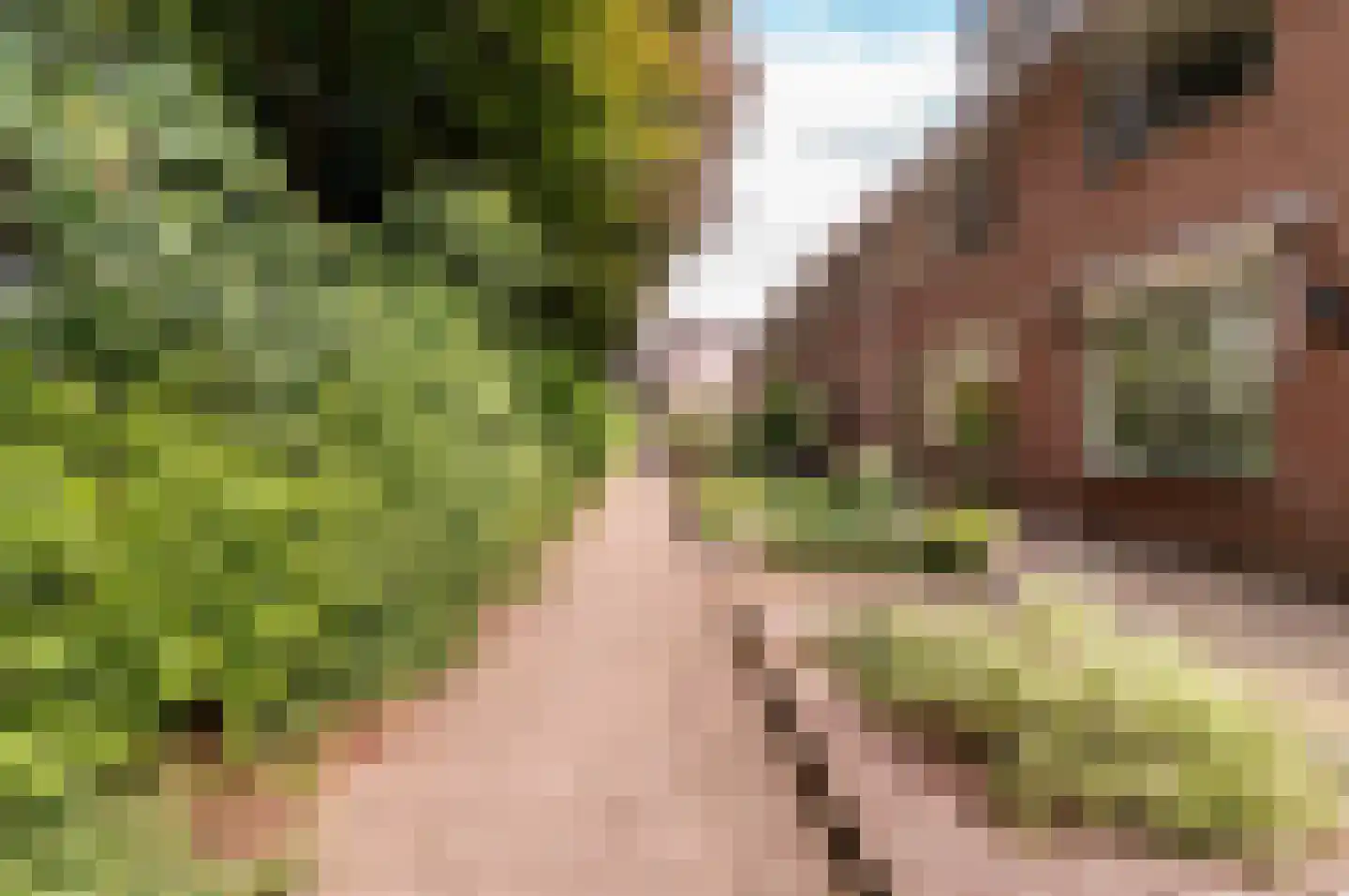 Veldwijkerweg 6 Ermelo thumbnail 41
