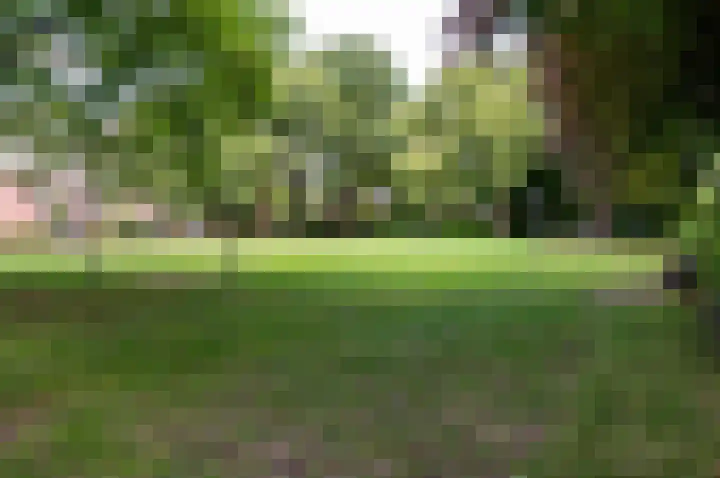 Veldwijkerweg 6 Ermelo thumbnail 42