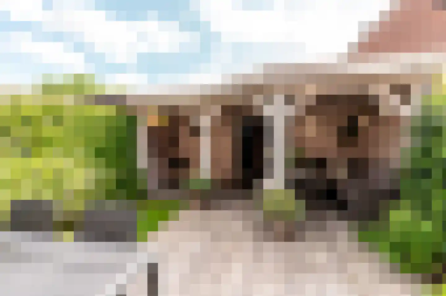 Veldwijkerweg 6 Ermelo thumbnail 6