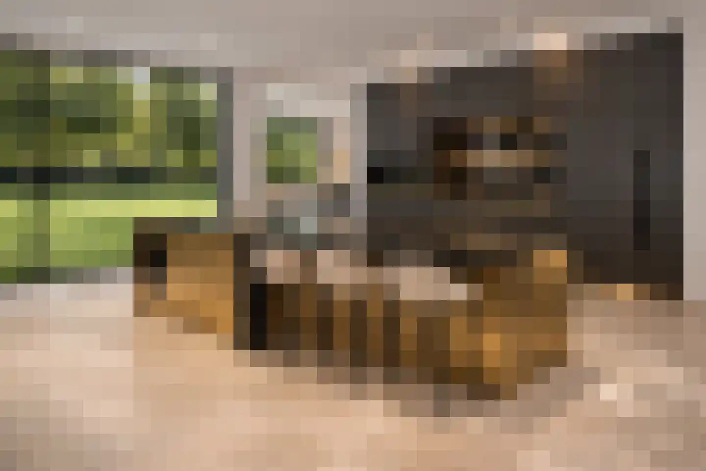 Veldwijklaan 14 Zwolle thumbnail 14