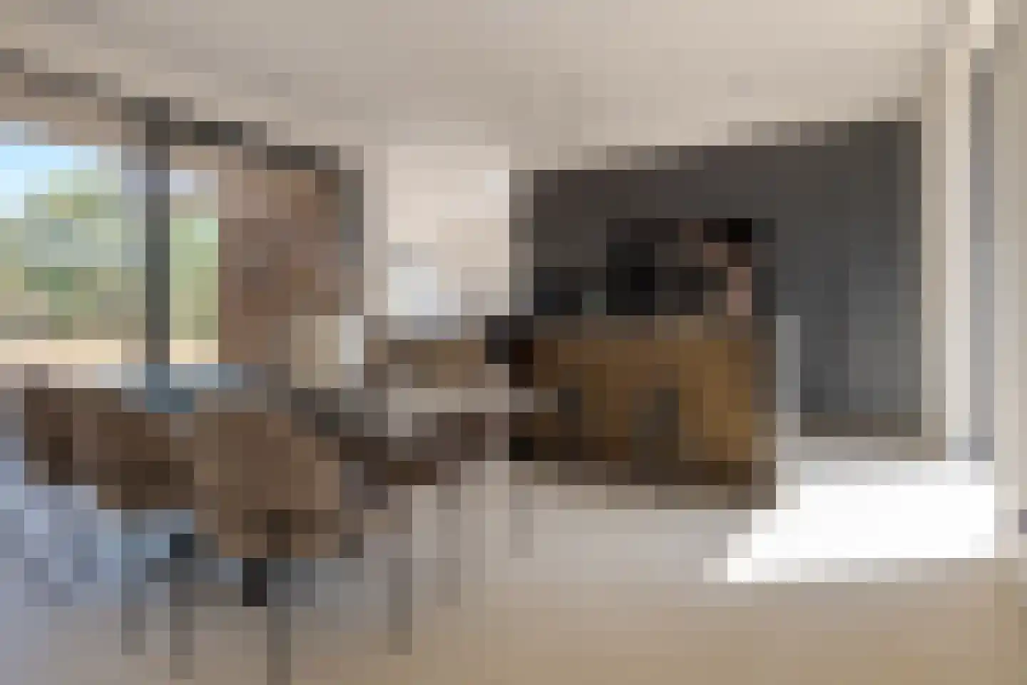 Veldwijklaan 14 Zwolle thumbnail 29