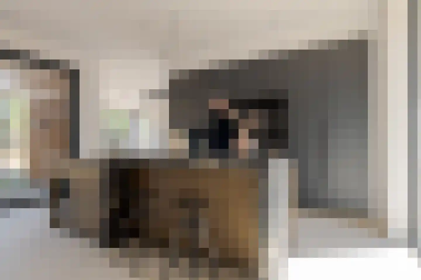 Veldwijklaan 14 Zwolle thumbnail 31