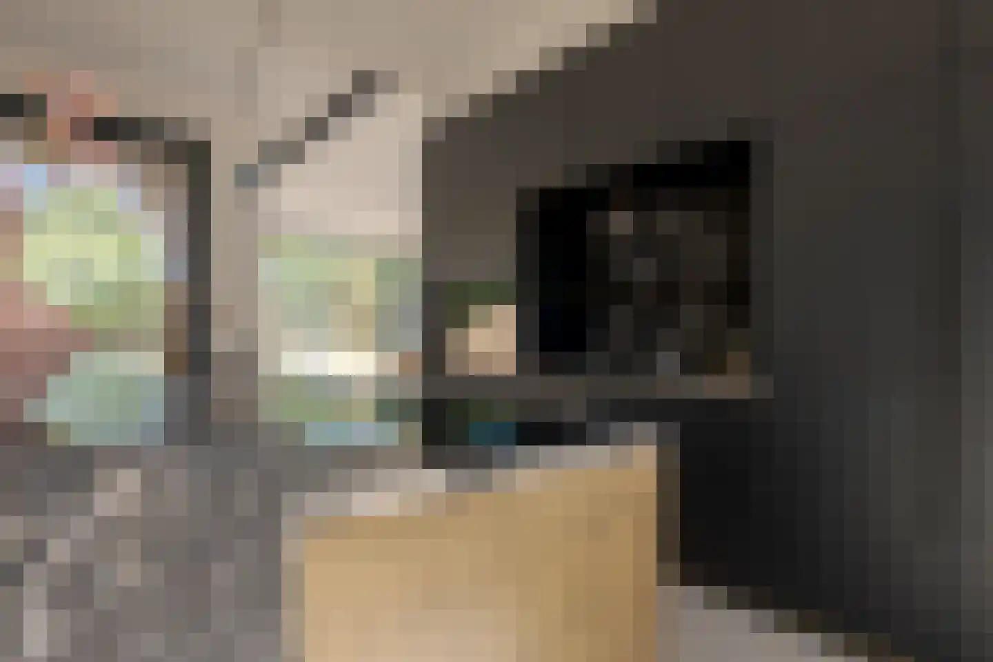 Veldwijklaan 14 Zwolle thumbnail 32