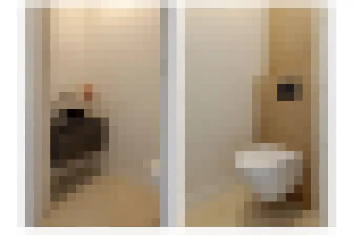 Veldwijklaan 14 Zwolle thumbnail 37