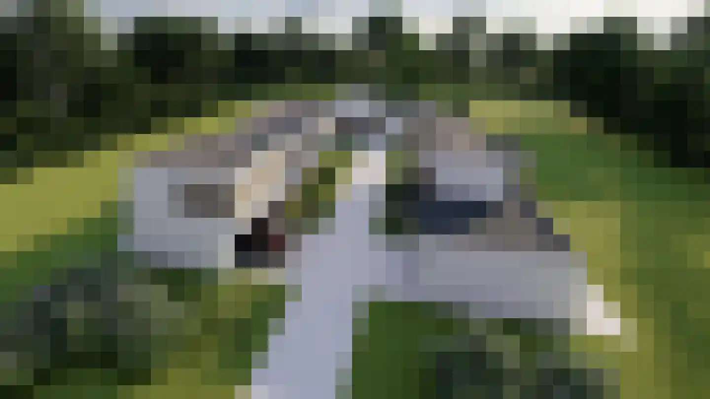 Veldwijklaan 14 Zwolle thumbnail 6