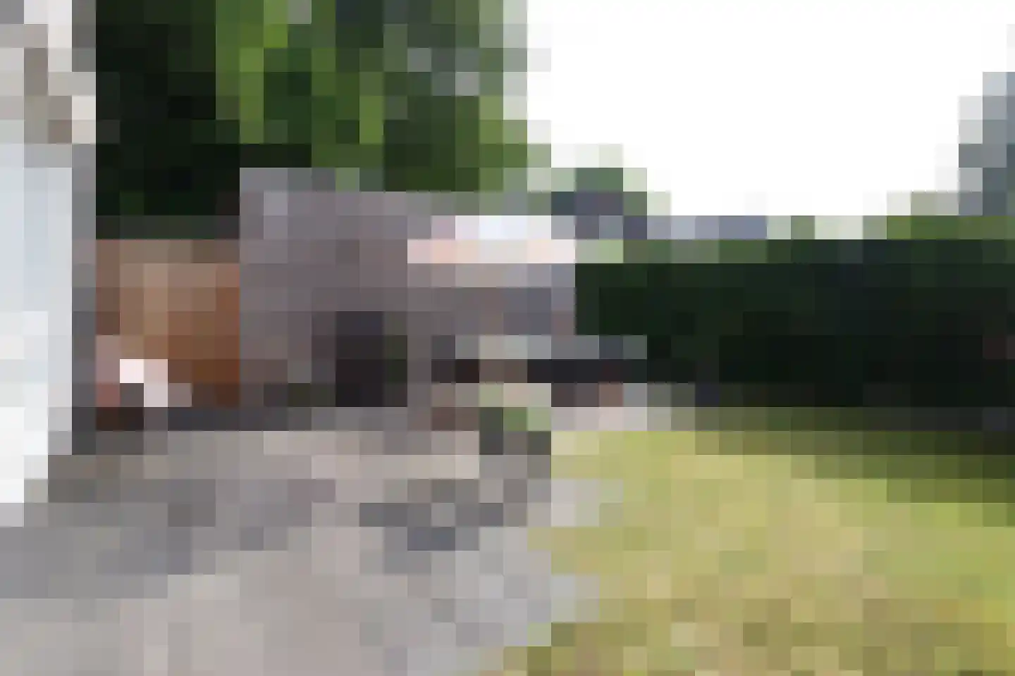 Veldzicht 1 a Groesbeek thumbnail 8