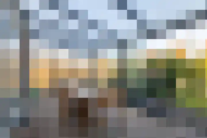 Veldzicht 1 Almelo thumbnail 17