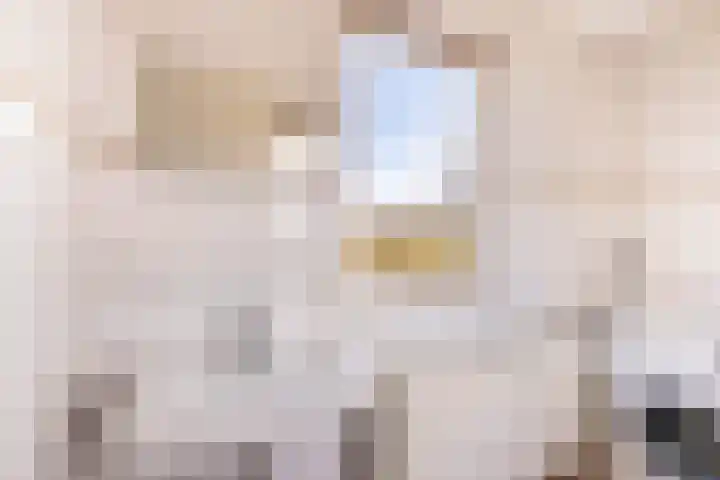 Veldzicht 1 Almelo thumbnail 26