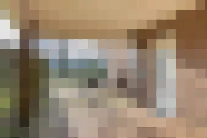 Veldzicht 1 Almelo thumbnail 36