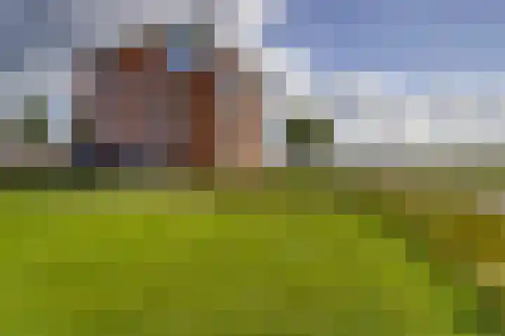Veldzicht 17 Valkenburg thumbnail 44