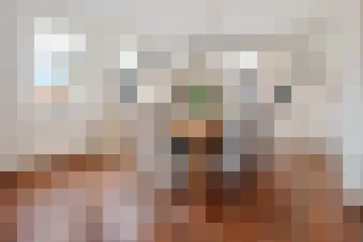 Veldzicht 21 Loppersum thumbnail 18