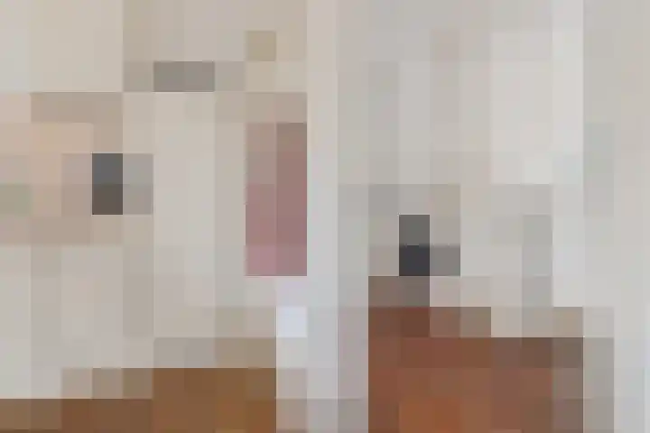 Veldzicht 21 Loppersum thumbnail 21