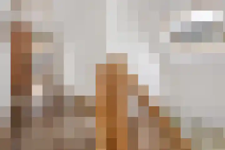 Veldzicht 21 Loppersum thumbnail 23