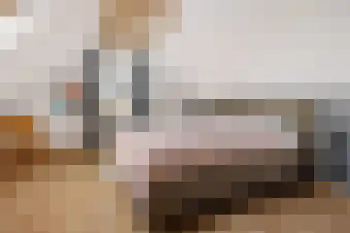 Veldzicht 21 Loppersum thumbnail 27