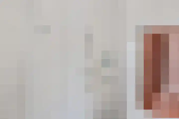 Veldzicht 21 Loppersum thumbnail 31