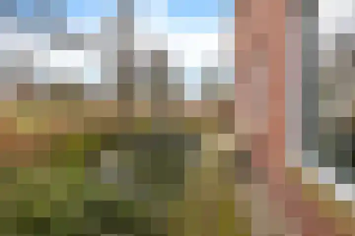 Veldzicht 21 Loppersum thumbnail 38