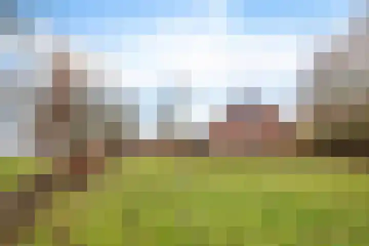 Veldzicht 21 Loppersum thumbnail 39