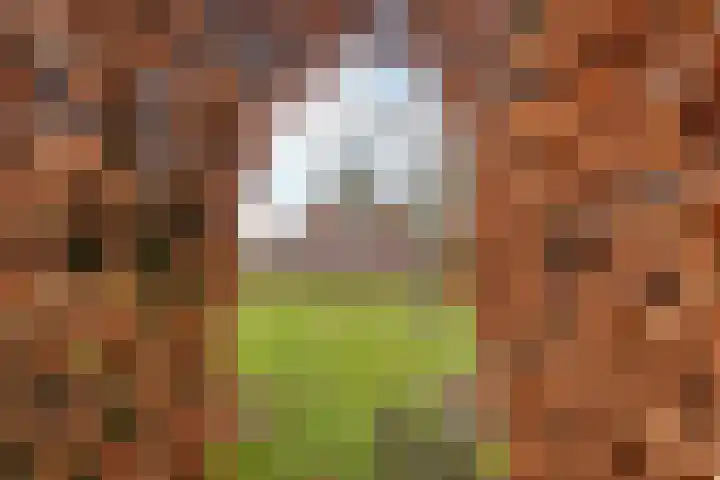 Veldzicht 21 Loppersum thumbnail 4