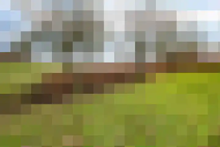 Veldzicht 21 Loppersum thumbnail 40