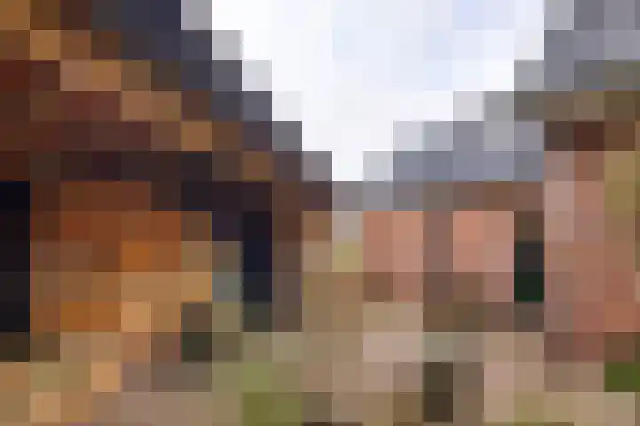 Veldzicht 21 Loppersum thumbnail 41