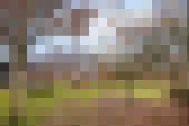 Veldzicht 21 Loppersum thumbnail 43