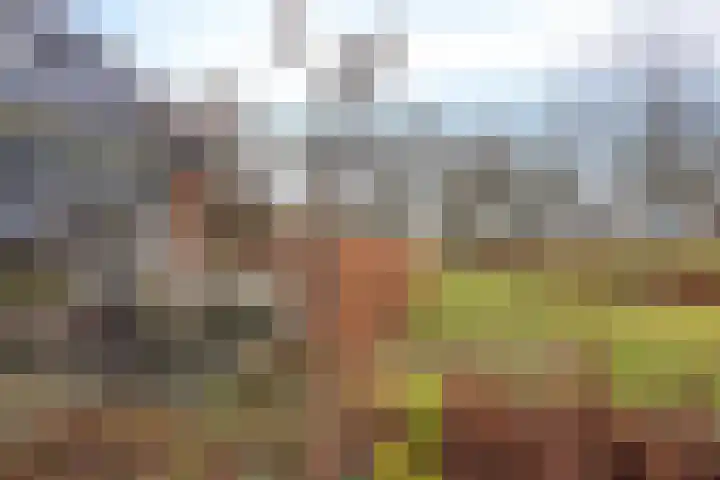 Veldzicht 21 Loppersum thumbnail 44