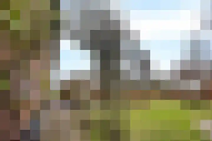 Veldzicht 21 Loppersum thumbnail 45