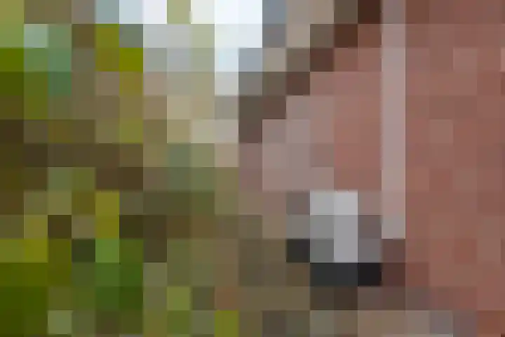Veldzicht 21 Loppersum thumbnail 46
