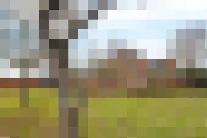 Veldzicht 21 Loppersum thumbnail 5