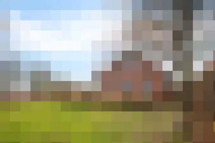 Veldzicht 21 Loppersum thumbnail 6