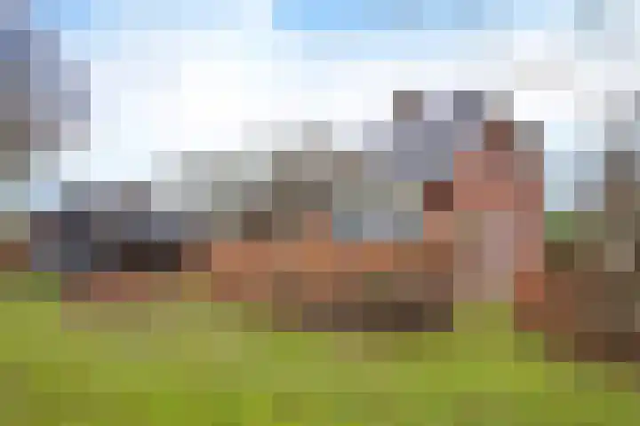 Veldzicht 21 Loppersum thumbnail 7