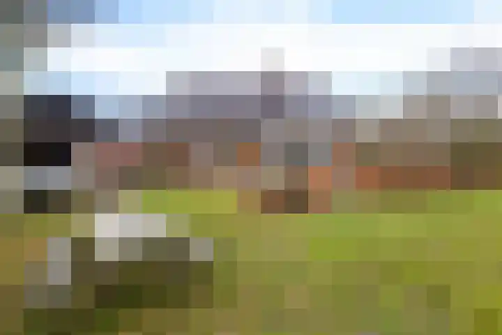 Veldzicht 21 Loppersum thumbnail 8