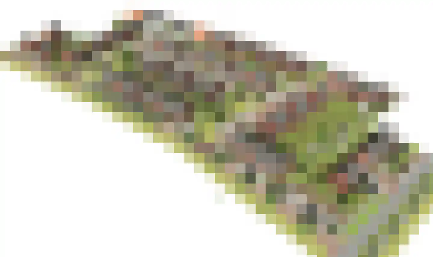 Veldzicht 38 Wanssum thumbnail 4