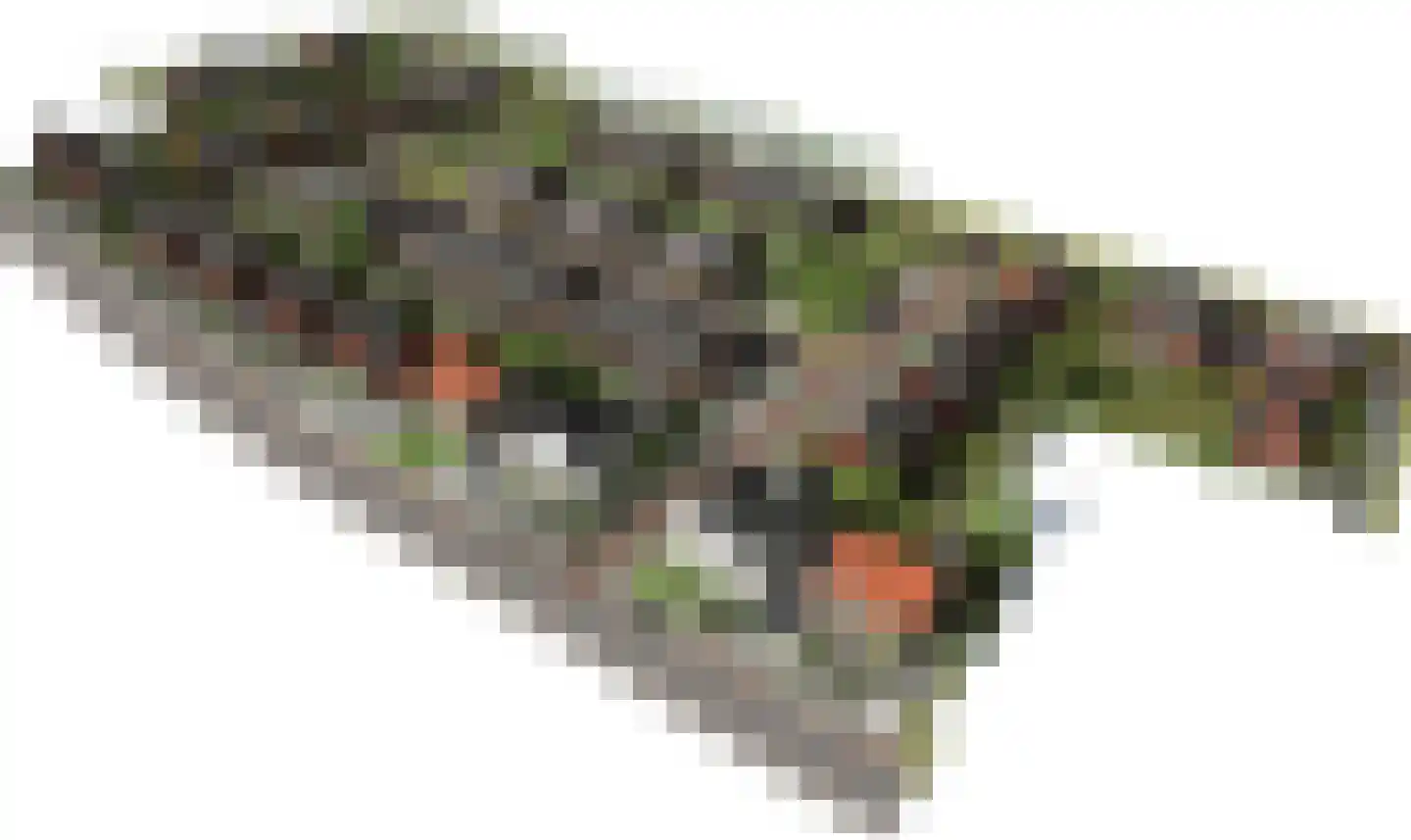 Veldzicht 38 Wanssum thumbnail 5