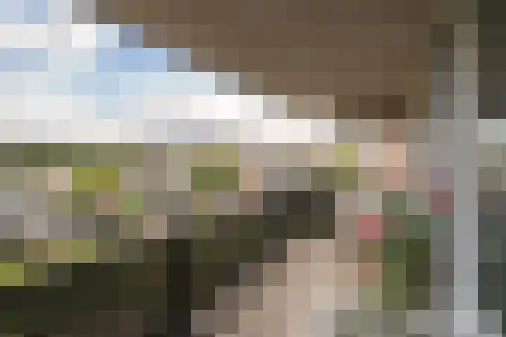 Veldzicht 55 Amsterdam thumbnail 13