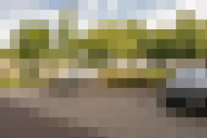 Veldzicht 55 Amsterdam thumbnail 22