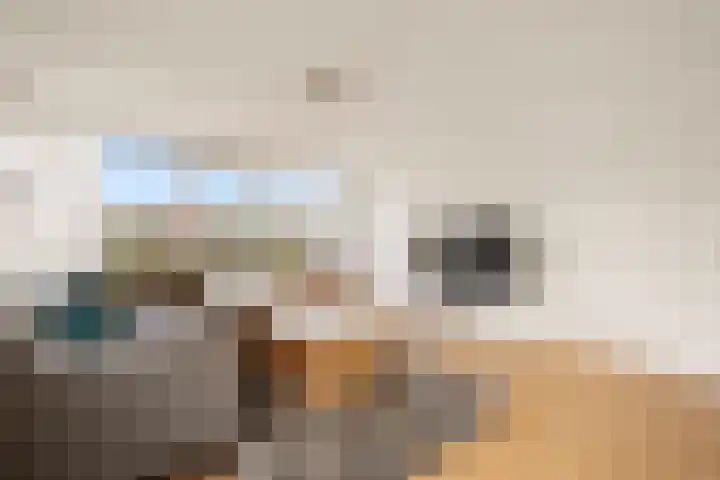 Veldzicht 55 Amsterdam thumbnail 5