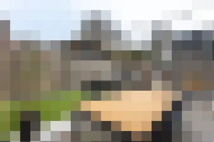 Veldzicht 57 Groesbeek thumbnail 33