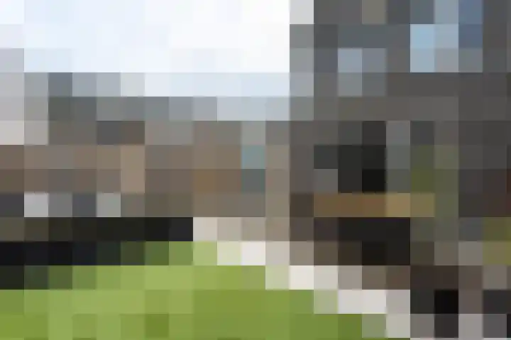 Veldzicht 57 Groesbeek thumbnail 35