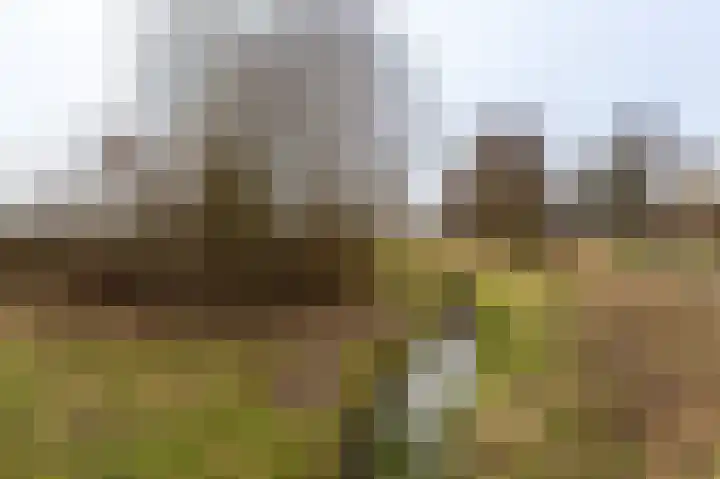 Veldzicht 57 Groesbeek thumbnail 42