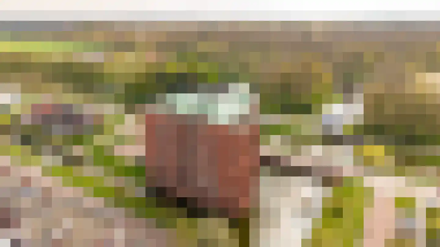 Veldzicht 63 Almelo thumbnail 6