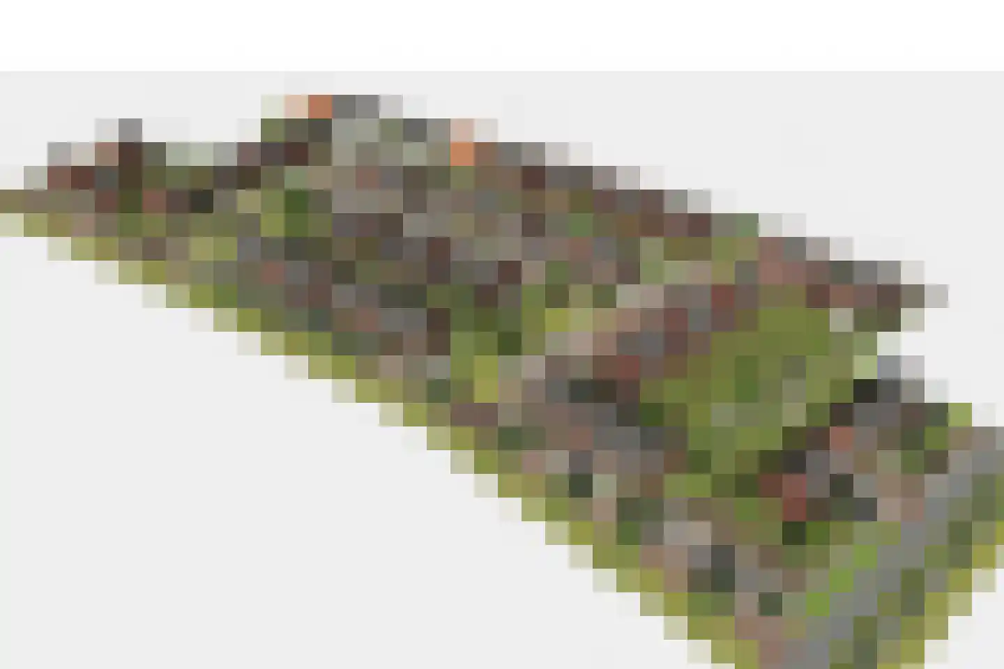 Veldzicht 8 Wanssum thumbnail 5