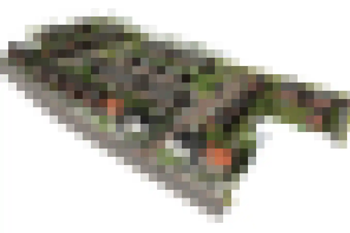 Veldzicht 8 Wanssum thumbnail 6