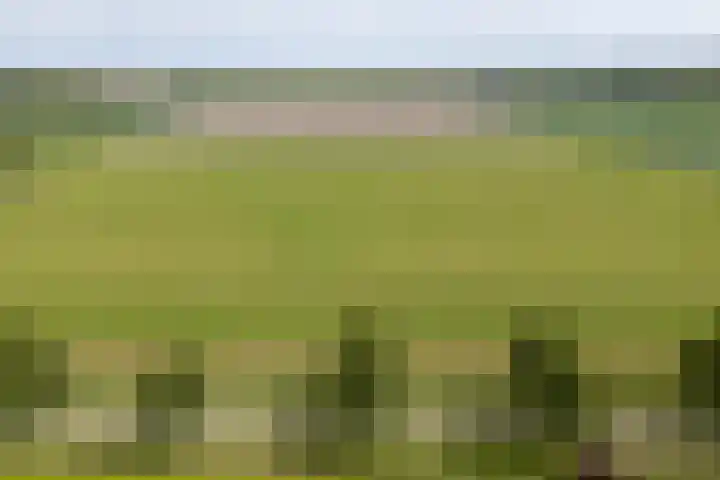 Veldzicht 9 Loppersum thumbnail 10